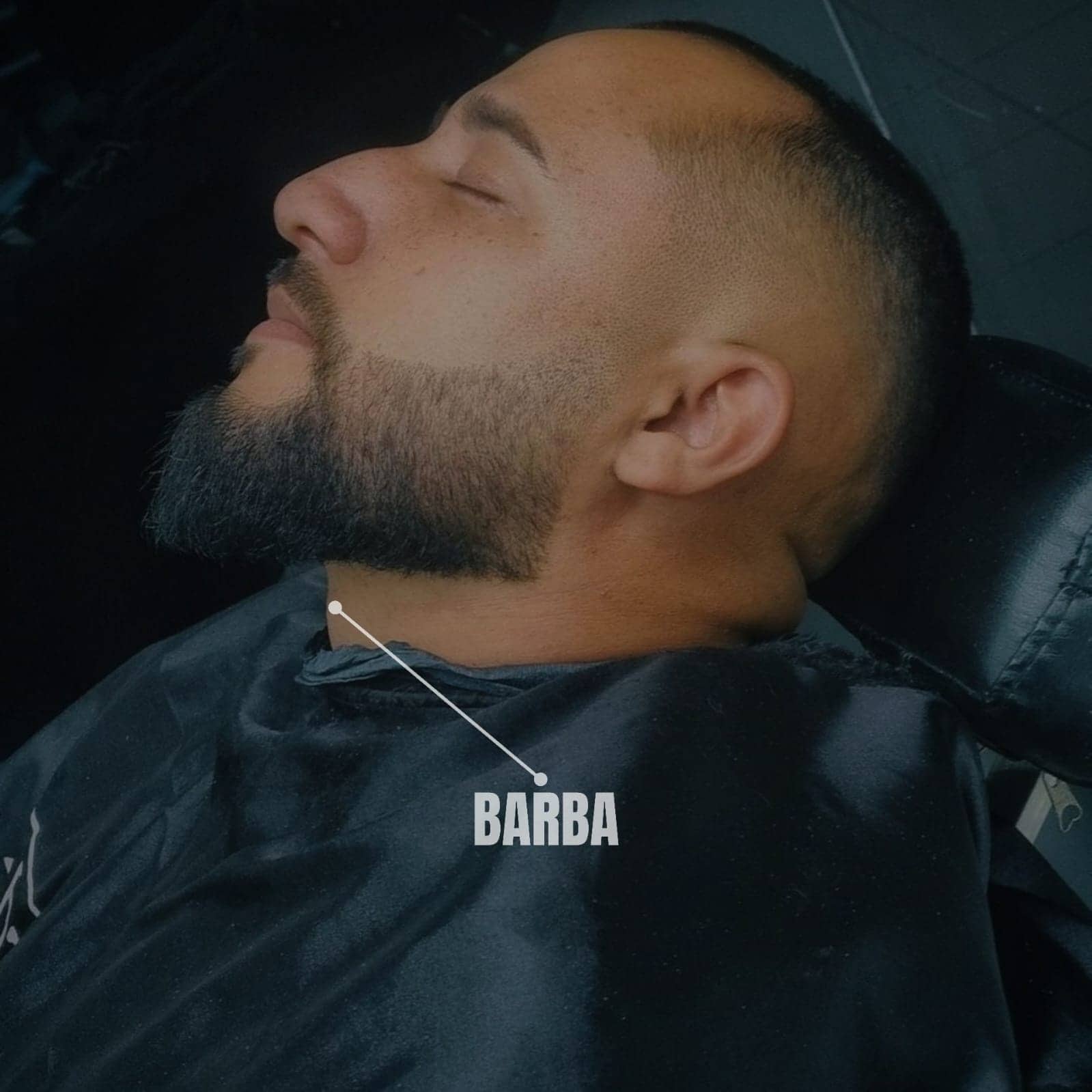 Barba